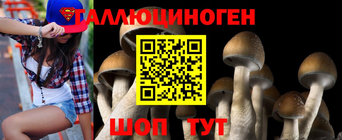 Новоуральск  Галлюциногенные грибы мицелий  Вход с VPN 